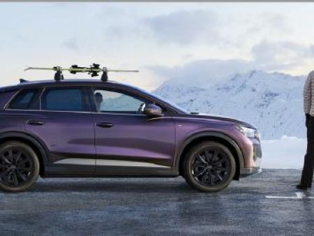 soporte 6 esquis o 4 tablas de snow audi