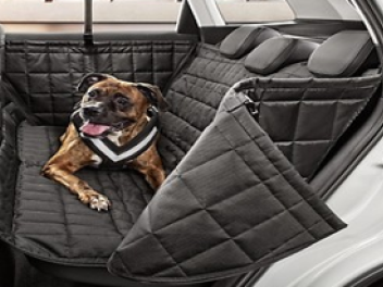 cubierta protección trasera