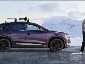 soporte 6 esquis o 4 tablas de snow audi