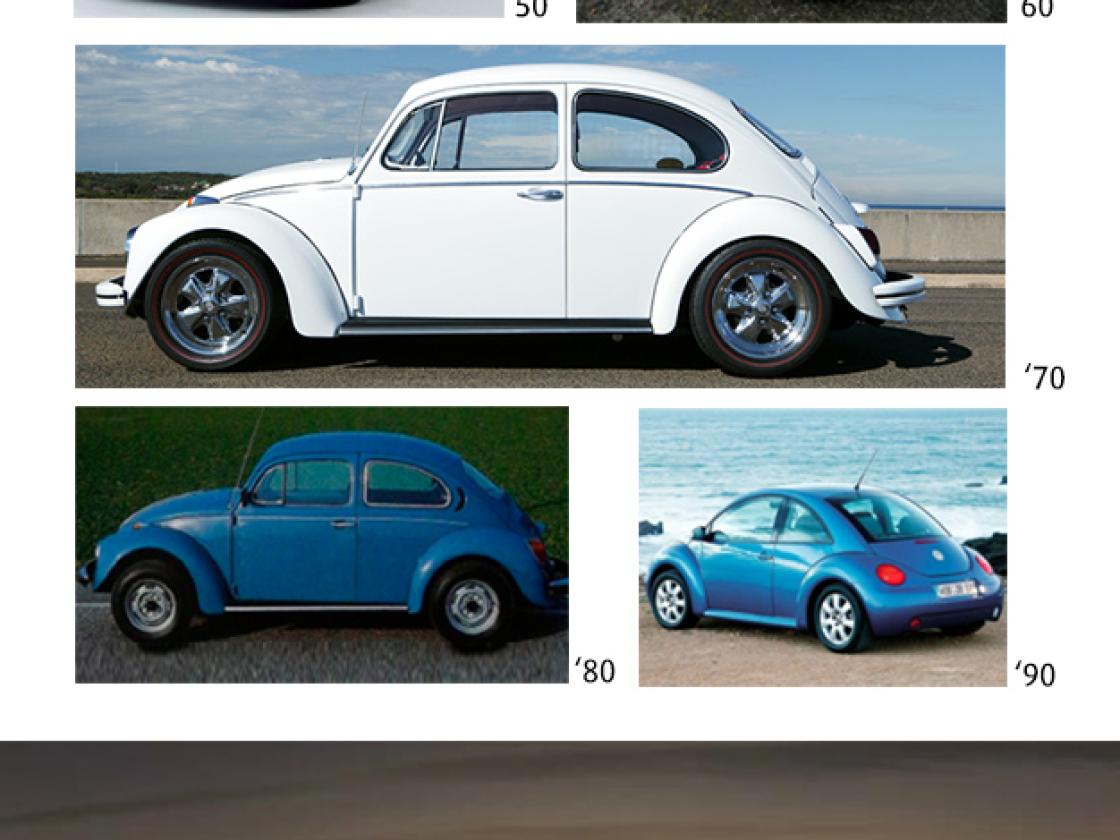 evolució beetle