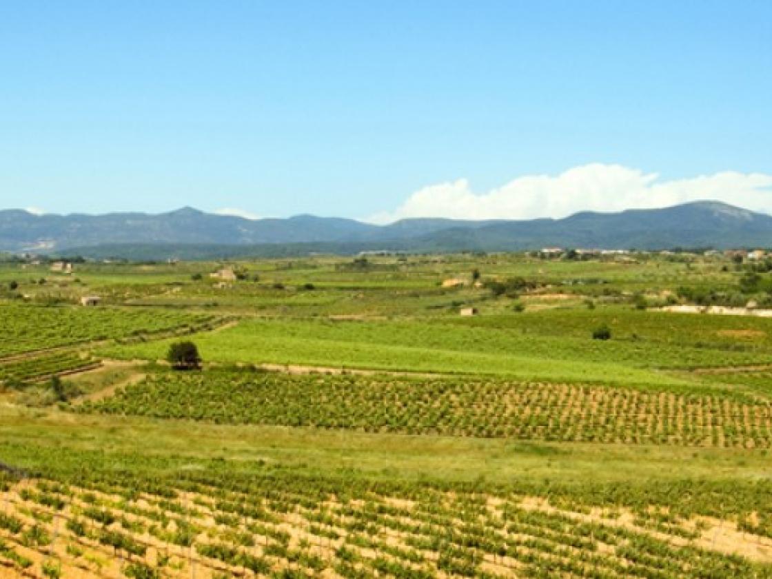 Ruta Movento: Rural&Curvas pel sud de Catalunya