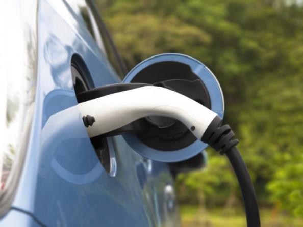 Híbrids i GLP, una aposta segura que hem de mimar