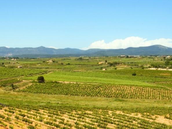 Ruta Movento: Rural&Curvas por el sur de Catalunya